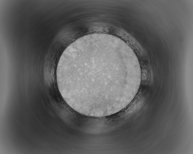 X0000087050820200705160949