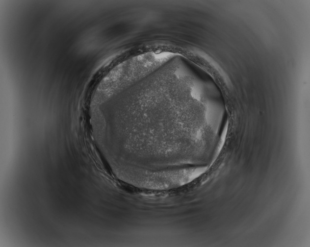 X0000087050823200705160949