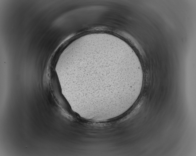 X0000087050827200705160949