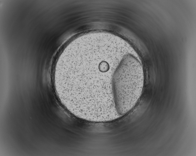 X0000087050828200705160949