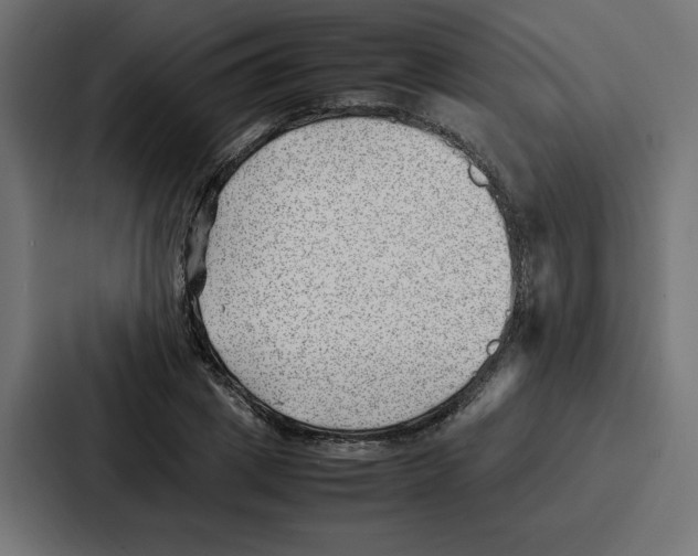 X0000087050833200705160949