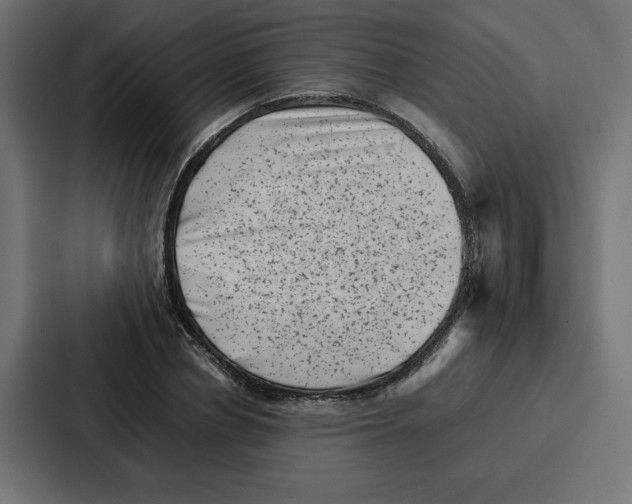 X0000087050834200705160949