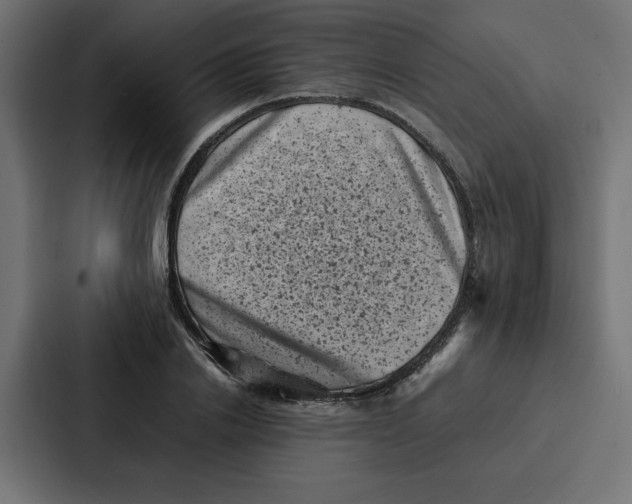 X0000087050838200705160949