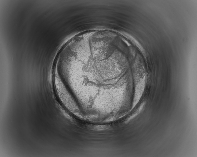 X0000087050839200705160949