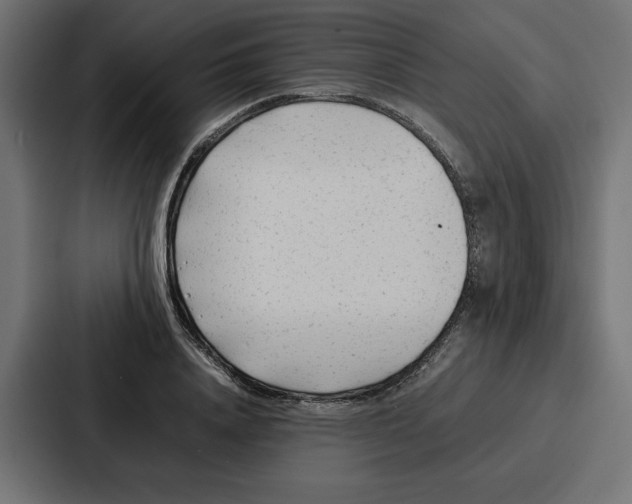 X0000087050840200705160949