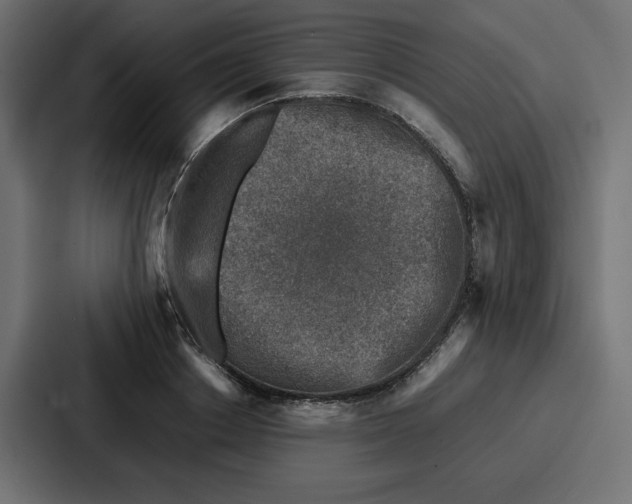 X0000087050842200705160949