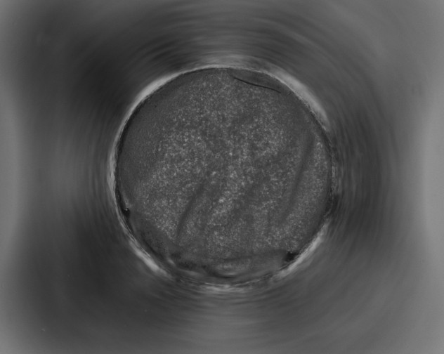 X0000087050846200705160949