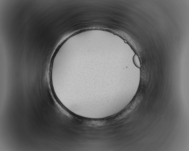 X0000087050847200705160949