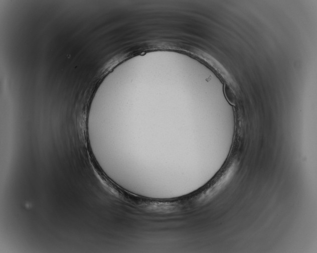 X0000087050849200705160949