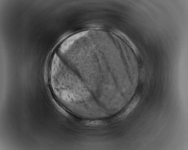 X0000087050851200705160950