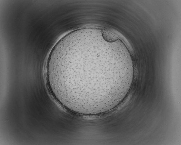 X0000087050852200705160950