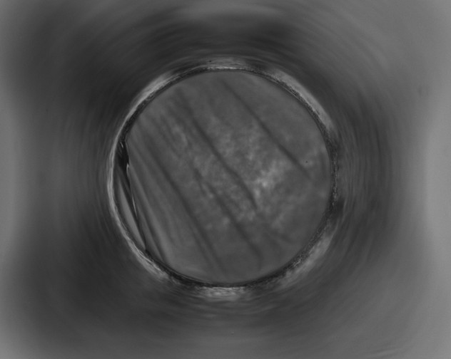 X0000087050853200705160950