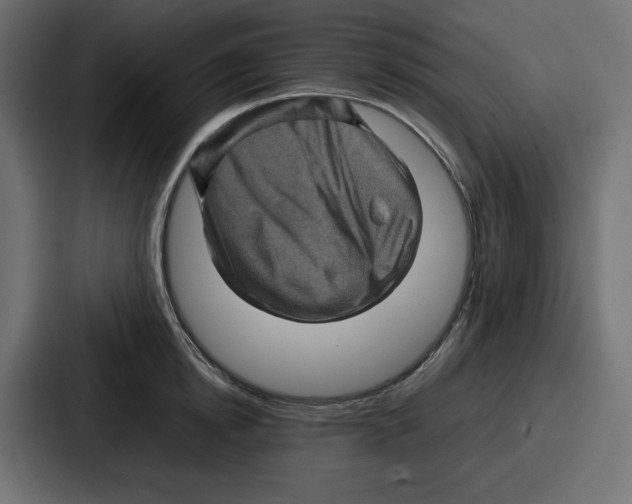 X0000087050854200705160950