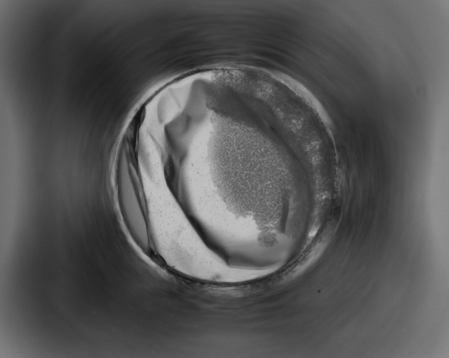 X0000087050855200705160950