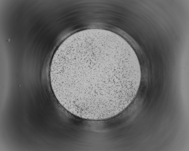 X0000087050856200705160950