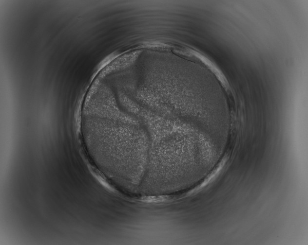 X0000087050858200705160950