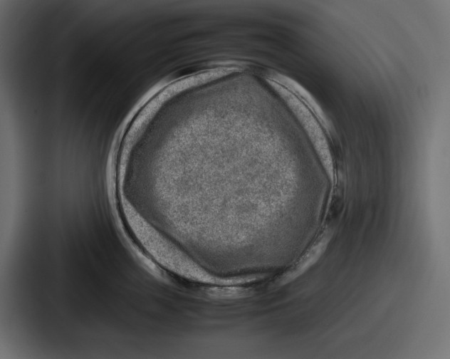 X0000087050859200705160950