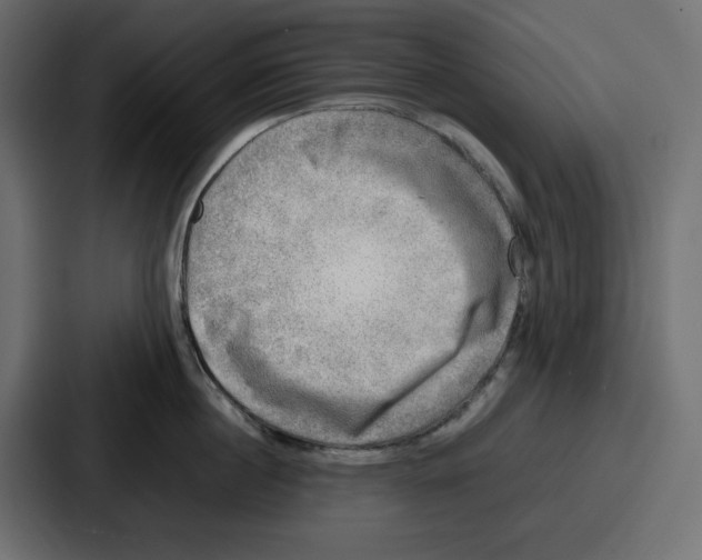 X0000087050860200705160950