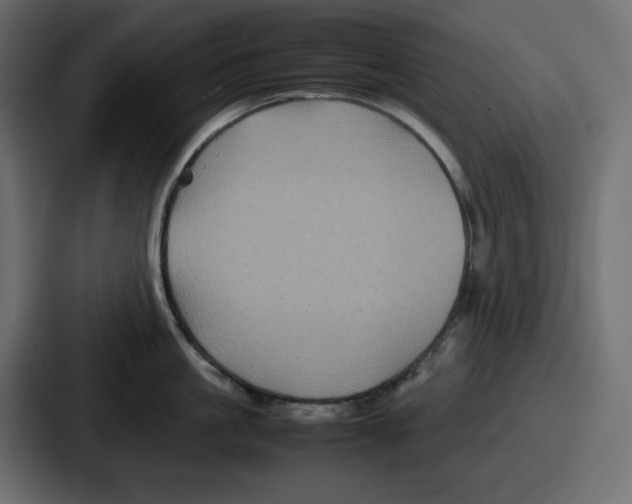 X0000087050861200705160950