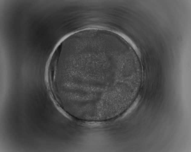 X0000087050862200705160950