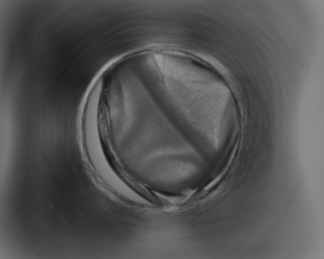 X0000087050864200705160950