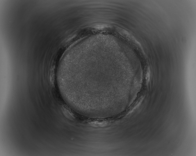 X0000087050868200705160949