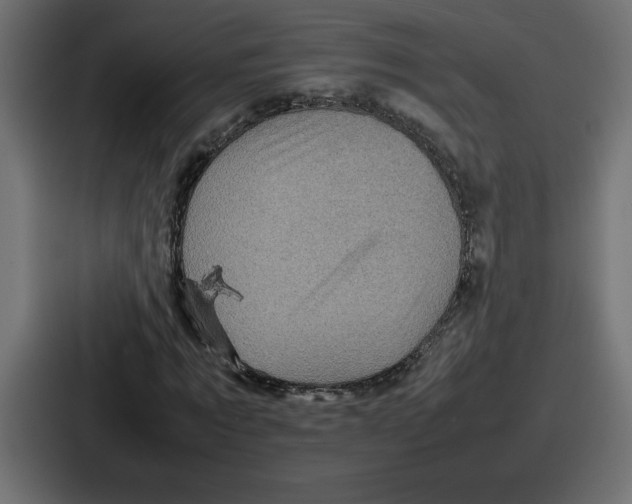 X0000087050869200705160949