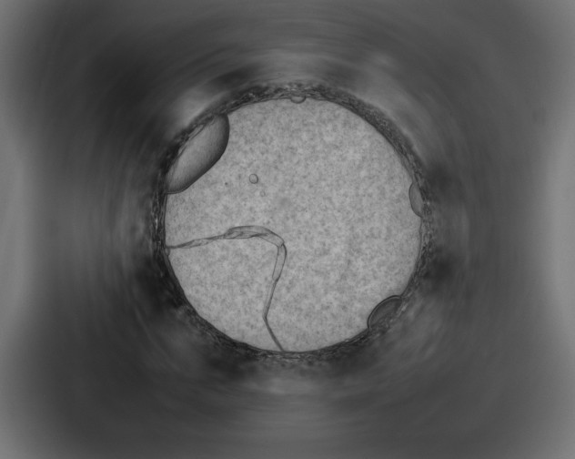 X0000087050871200705160949