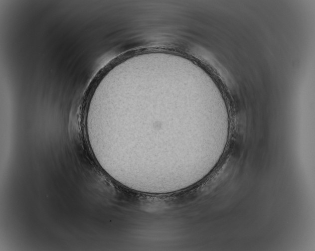 X0000087050875200705160949