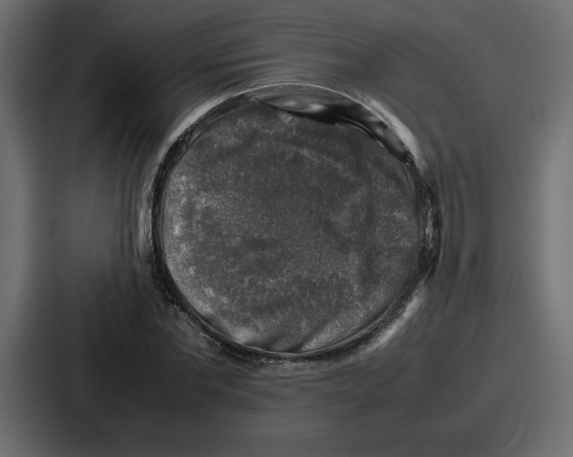 X0000087050877200705160949