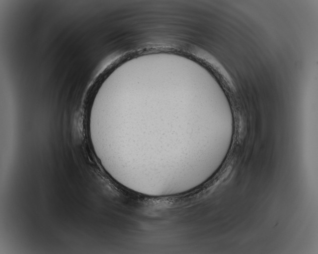 X0000087050878200705160949