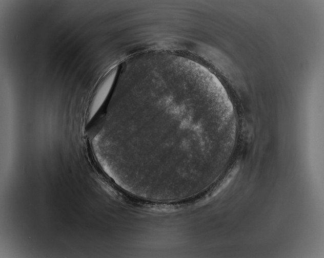 X0000087050881200705160949