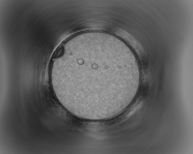 X0000087050883200705160949