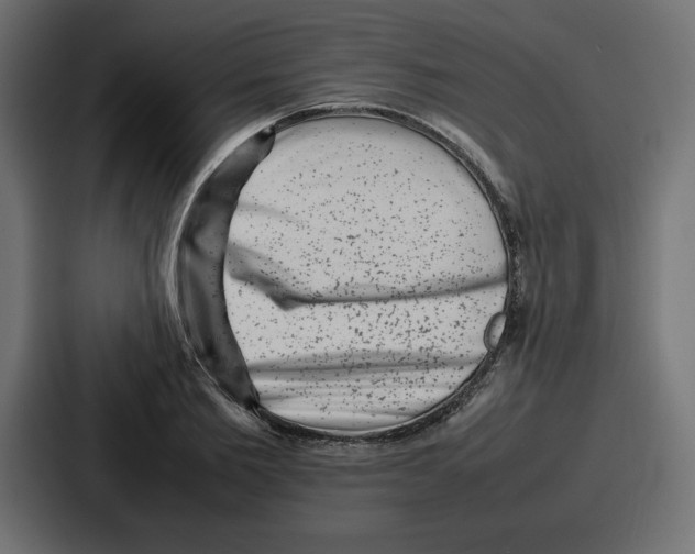 X0000087050885200705160949