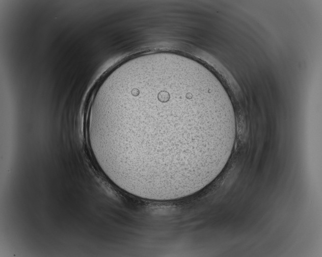 X0000087050886200705160949