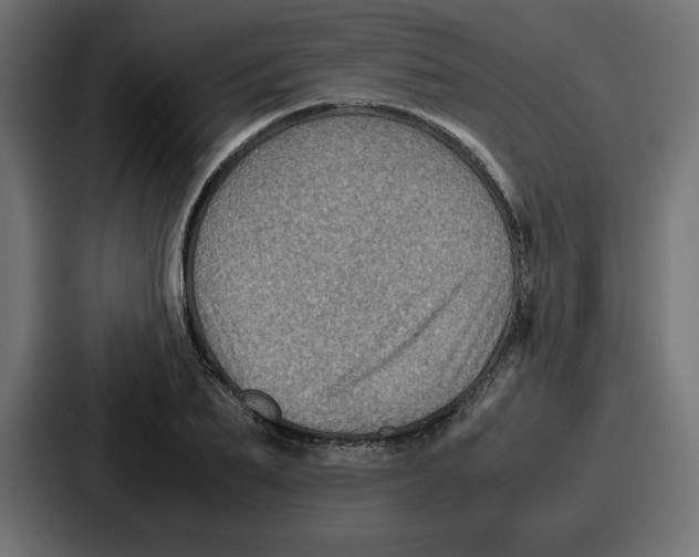 X0000087050887200705160949