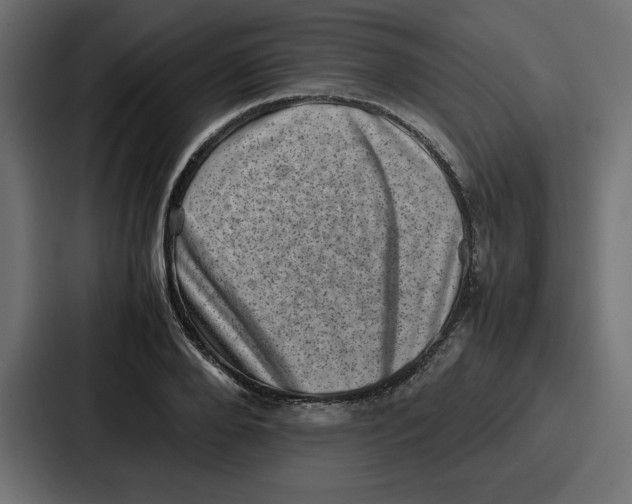 X0000087050888200705160949