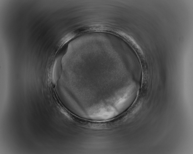 X0000087050889200705160949