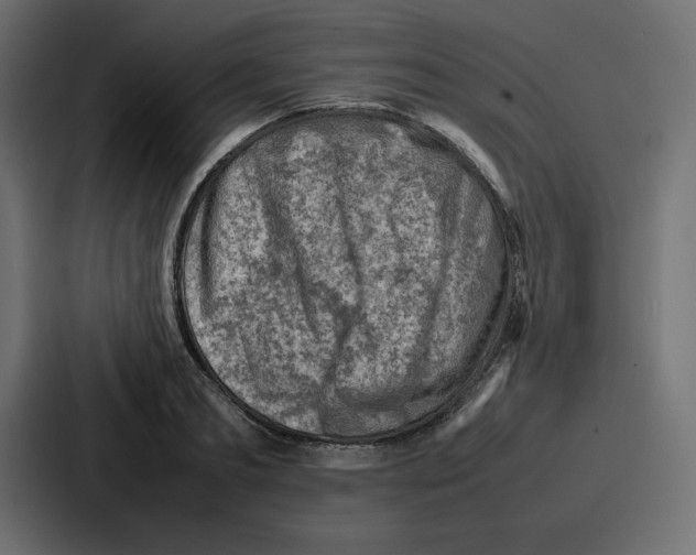 X0000087050893200705160948