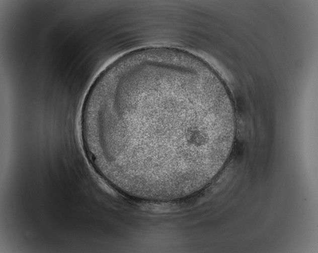 X0000087050895200705160948