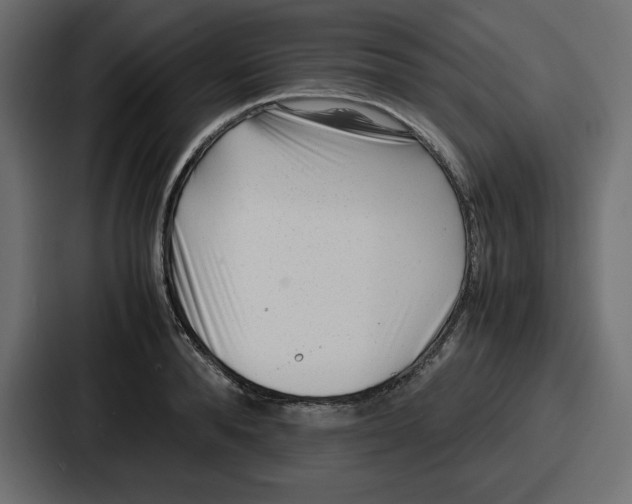 X0000087050896200705160948