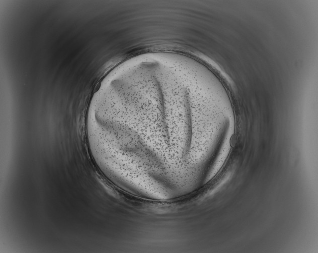 X0000087050897200705160948