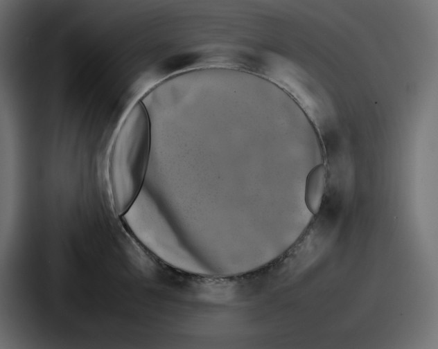 X0000087050907200705160948