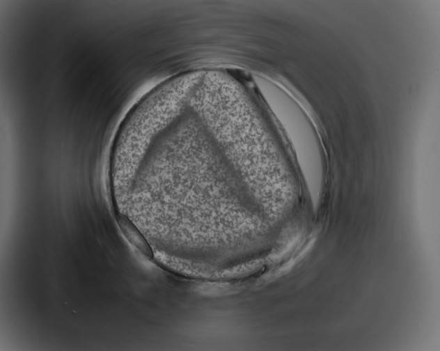 X0000087050909200705160948