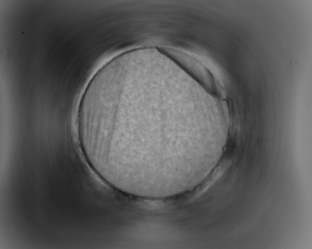 X0000087050911200705160948