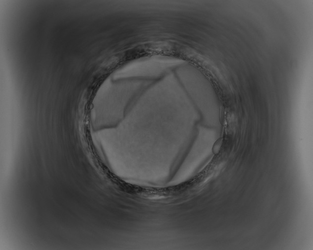 X0000087050913200705160948