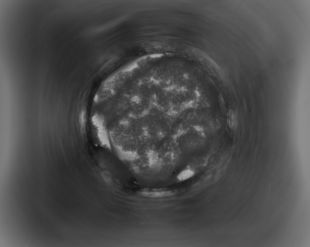 X0000087050915200705160948