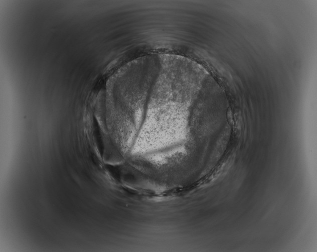 X0000087050916200705160948