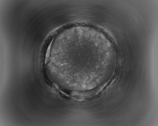 X0000087050920200705160948