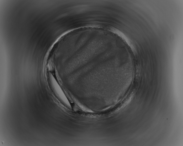 X0000087050923200705160948